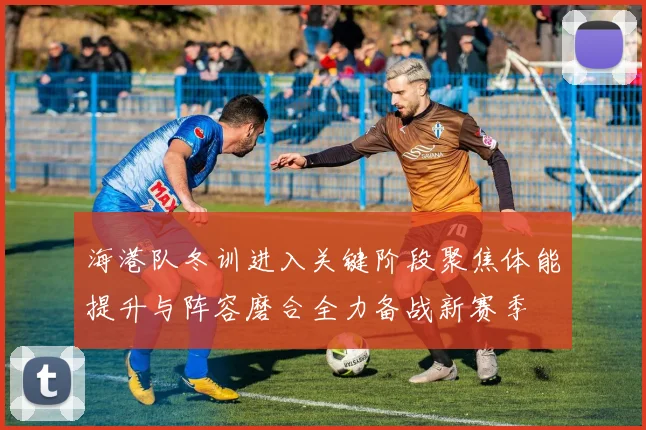 海港队冬训进入关键阶段聚焦体能提升与阵容磨合全力备战新赛季